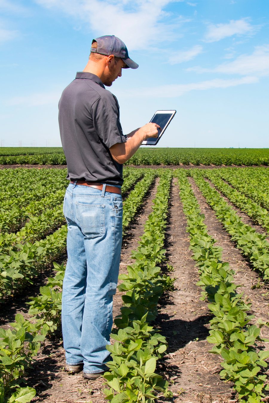 Productor consultando los sensores desde una tablet en el campo